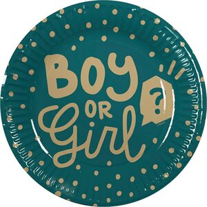 Vauva kertakäyttölautanen 10kpl 23cm