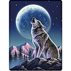 3d kortti kuutamo susi