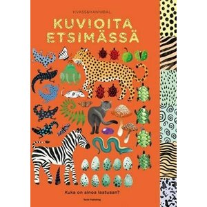 Kuvioita etsimässä