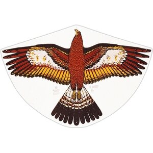 Gunther goldadler kotkaleija