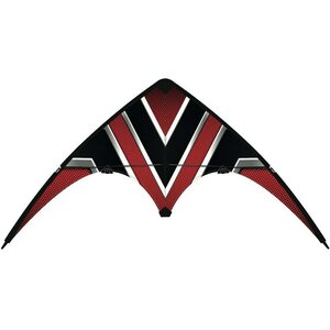 Gunther carbon design loop leija 100x56