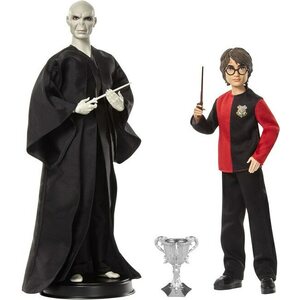 Harry Potter voldemort & harry potter