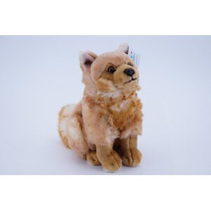 Suomenpystykorva 25 cm