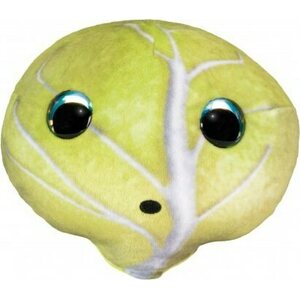 Lumo veggies and berries kaali teikku