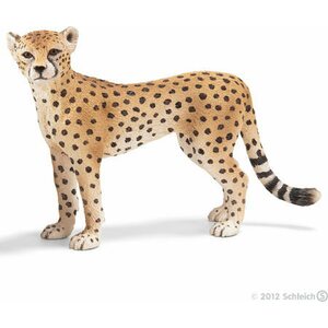 Schleich gebardi naaras