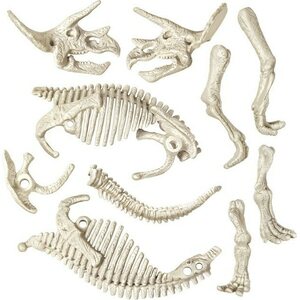 Clem dig line triceratops arkeologisetti