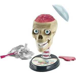 Clementoni crazy anatomy