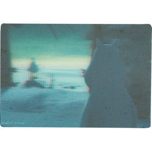 Muumit 3d magneetti uimahuone