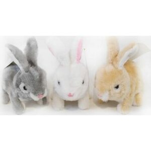 Paristokäyttöinen kani