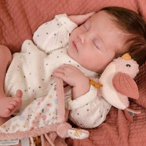 Little dutch uniliina linnut vaal.pun