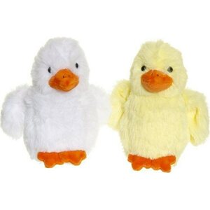 Teddykompaniet kananpoika