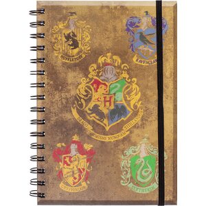 Harry Potter muistivihko