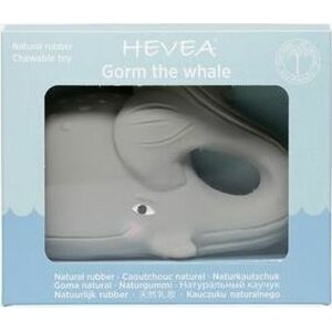 Hevea purulelu valas