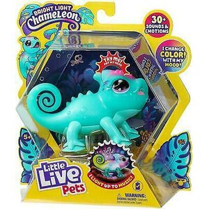 Little live Bright light Cameleon